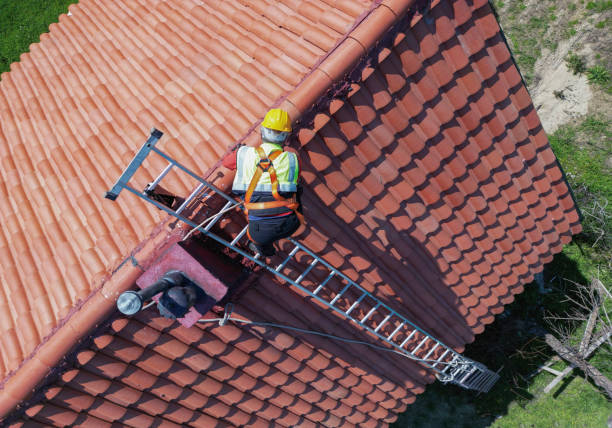 Best Commercial Roofing Services  in Elfers, FL